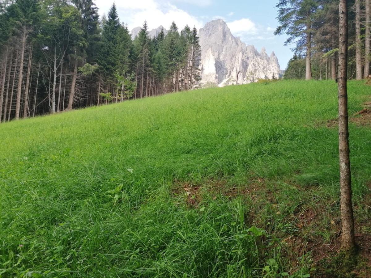 Baita Pra Petina Pale Di San Martino Siror エクステリア 写真