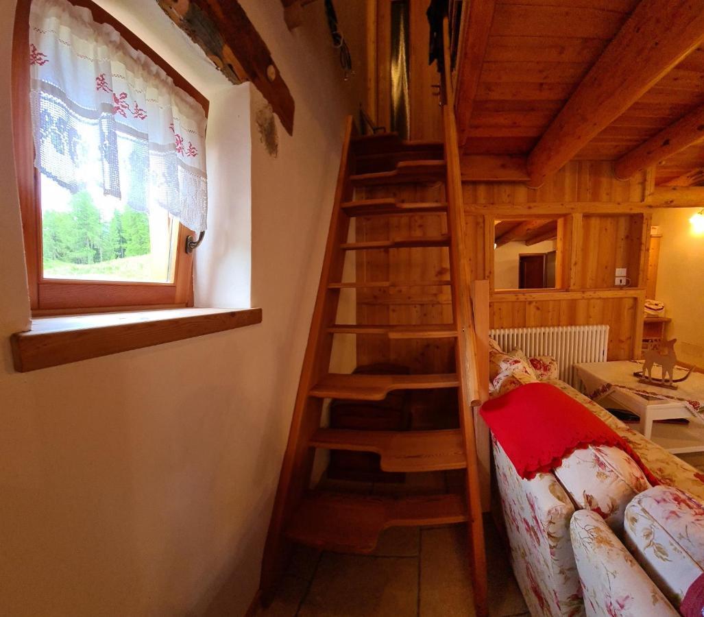 Baita Pra Petina Pale Di San Martino Siror エクステリア 写真