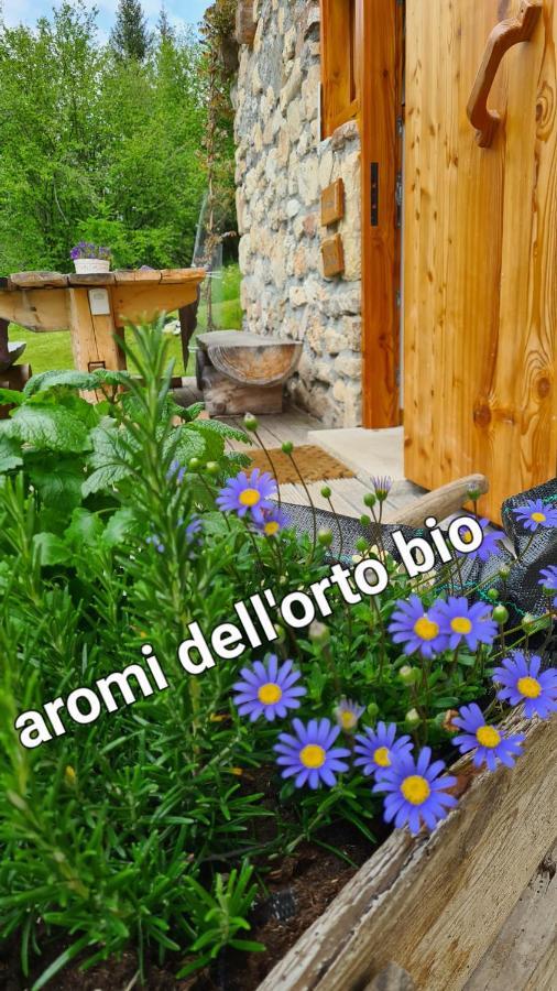 Baita Pra Petina Pale Di San Martino Siror エクステリア 写真